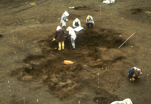 6人の大人たちがしゃがみこんだりしながら土の地面に縦横に水糸を張り炉穴群の調査をしている
