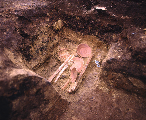 薬師堂の基壇を発掘調査したところ出土状況の写真