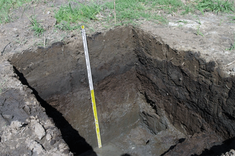 垂直に穴が掘られスケールを立て掛けてある菊間並木地区のクラムI地点の写真