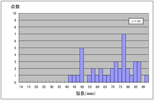 郡本遺跡群第17次貝層（弥生時代中期）のハマグリの大きさのグラフ