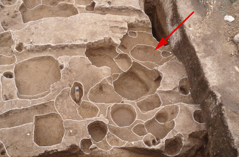 矢印で焼土層と灰層が示された火葬遺構とした10号遺構(被熱遺構)の写真