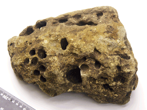 四角い茶色の石の表面にたくさんの穴があいている写真
