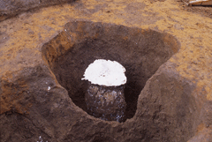 大きな穴の開いた土の中央に、石膏が流された白い箇所がある写真