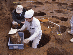 無数に穴の開いた土の1つの穴の中で、石膏型を取り出し喜ぶ作業員の写真