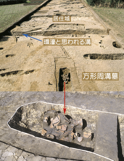 上下2枚の写真に分かれており、上1枚目は奥から居住域、環濠と思われる溝、方形周溝墓、下は、方形周溝墓の中に割れてバラバラになった茶色の土器の拡大写真の写真