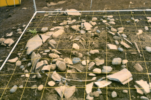 土の中からたくさんの丸い小石が出ている写真 南中台遺跡