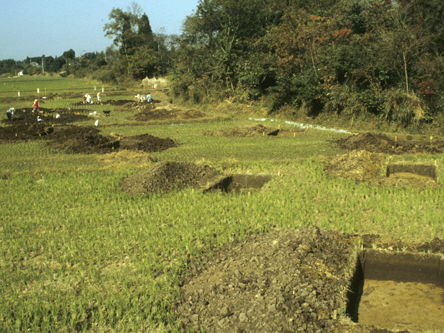 広い農地の中で複数箇所掘り起こされている遺跡の写真