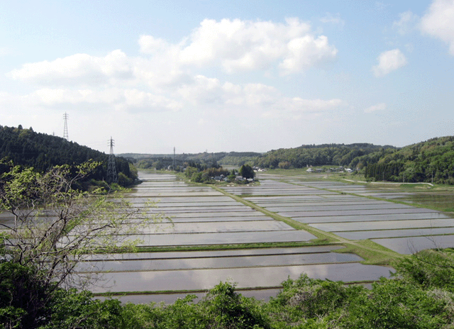 森に囲まれた広い土地にある水田の写真