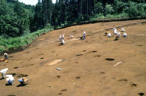 奈良大仏台遺跡で10人ほどが調査をしている写真