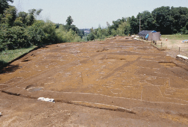 馬場ノ内館跡の西側の土の地面に白い丸や線で掘立柱建物跡・方形土坑群の位置を表した写真