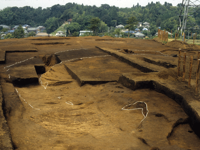 小田部古墳の墳丘墓全体の写真