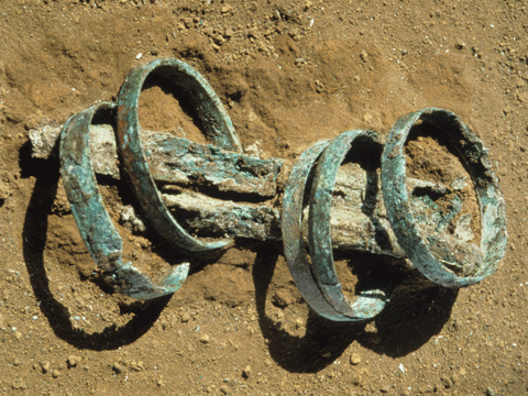 遺跡の地面の上で、サビ（緑青）た青銅の細い板を輪にしたブレスレットが右腕の骨につけられている帯状円環形銅釧の写真