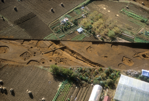 調査区外上側の畑に道路幅の帯状跡が観察される航空写真