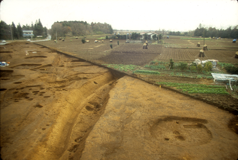 道路に伴う排水施設だった可能性のある、古代に属するとみられる溝の写真