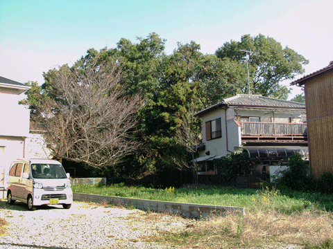 砂利に駐車してある軽自動車の奥に広がる住居と大樹
