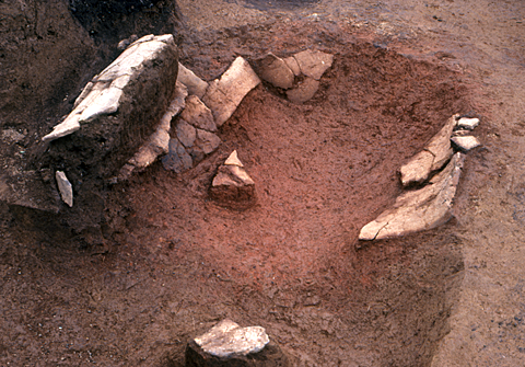 1号炉穴の遺物の大きい土器片は炉穴の燃焼部から出土している擦痕調整の無文土器の写真