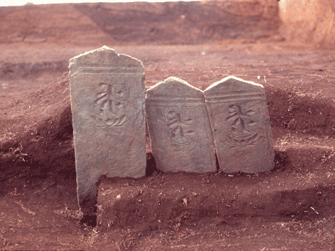 中央に模様が入った薄茶色の板碑が3つ、土の中に立っている写真。