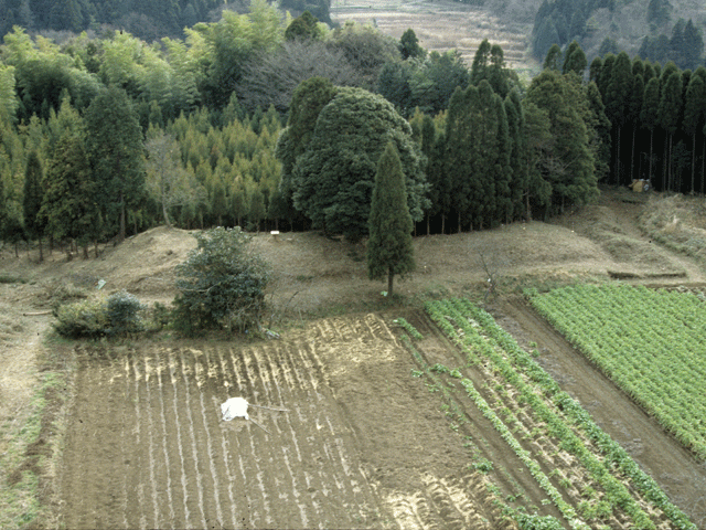 林や畑の間にある、草で覆われた六孫王原古墳の写真
