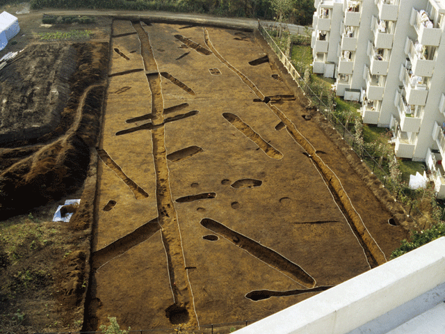 姉崎六孫王原遺跡で発掘された方形周溝墓・土壙墓の写真