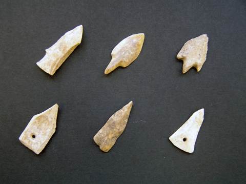 西広貝塚から出土した三角形やギザギザなどさまざまな形態の牙鏃6個が並べられた写真