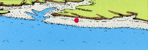 図の赤丸印が市原条里制遺跡で実信貝塚（村田川）周辺の海域の縄文時代中期の環境変遷図