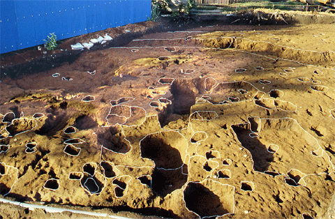発見されました方形竪穴遺構群や、掘立柱建物からなる宅地跡の写真