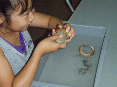 笑顔の女の子が、左手に穴の開いた貝殻のようなものを握り、その中に右手で持った楕円形の石を入れて工作を行っている様子の写真