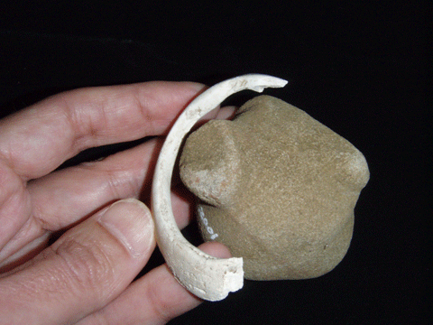 左手の指先に、白くて半円程度の貝殻のといびつな形の石を載せている写真
