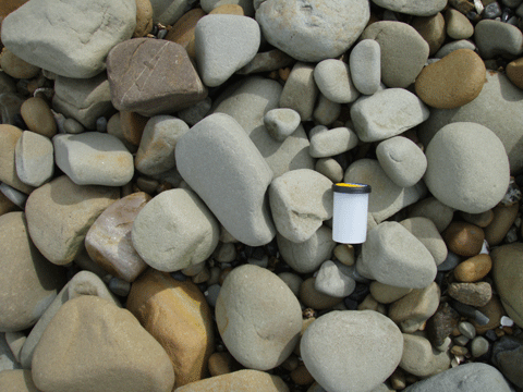 川下の岸辺や海岸などにみられる、角が取れて丸くなった様々な大きさの石ころの写真