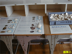 勉強机の上に発掘された貝などが説明書の上に並べてられて展示されている写真