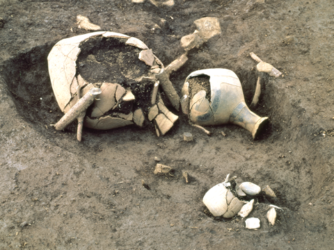 武士遺跡から発掘された2つの割れた土器の写真