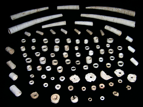 複数の貝で作られたビーズの写真（上部にはストローのような長い形のもの、その下や左右には中くらいの長さのもの、中央から下部にかけて指輪くらいの長さのものや平で真ん中に穴があいているものが複数並べられている）