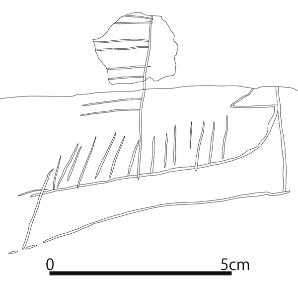 土器に描かれていた線の詳細を描いた図（かんざしの櫛の部分のような絵）