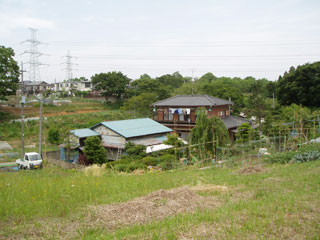雑草で生い茂った中央にトタンの古い家が2件並んでいる写真
