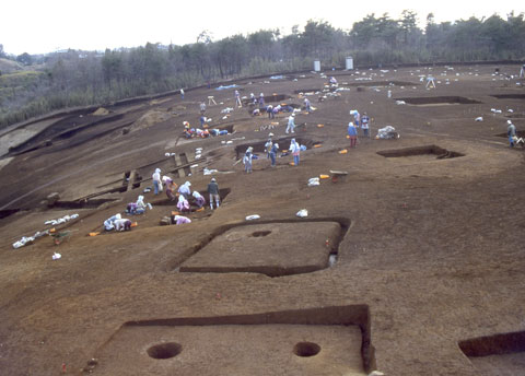 千草山遺跡の発掘調査をたくさんの人が作業している写真