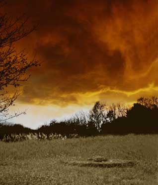 芝生と木々と燃えるようなオレンジ色の雲が見える風景写真