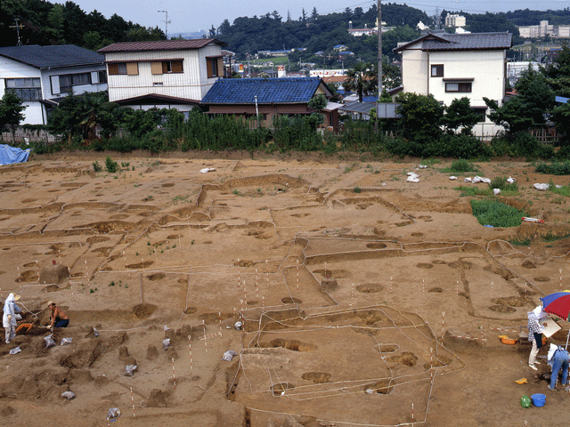 椎津茶ノ木遺跡の発掘調査を行っている様子の写真