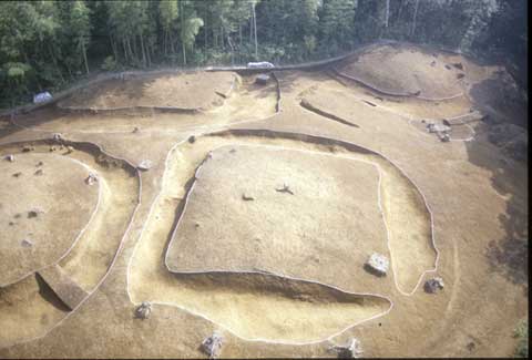 潤井戸天王台古墳群の全体の上空写真