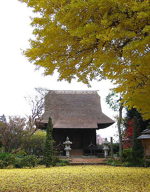 大きな木の横に建つ旧国分寺薬師堂の外観の写真