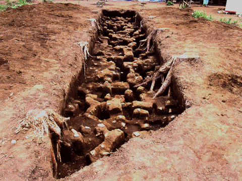 地面の土を幅2メートルで細長く掘って出てきた遺構と遺物の写真