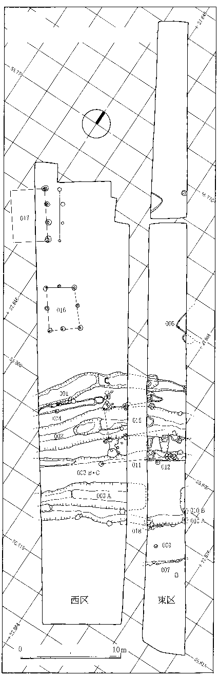 西区と東区に分かれた長い縦長の長方形のようなものが2つ描かれた遺跡の全体図